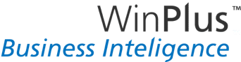 Business Intelligence